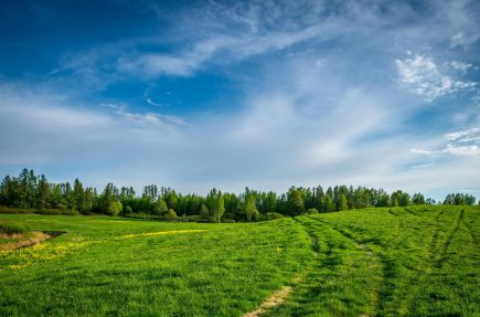 Vibrant rural landscape featuring green fields and a dramatic blue sky in summer.